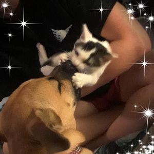 Meet your Posher, Jamie